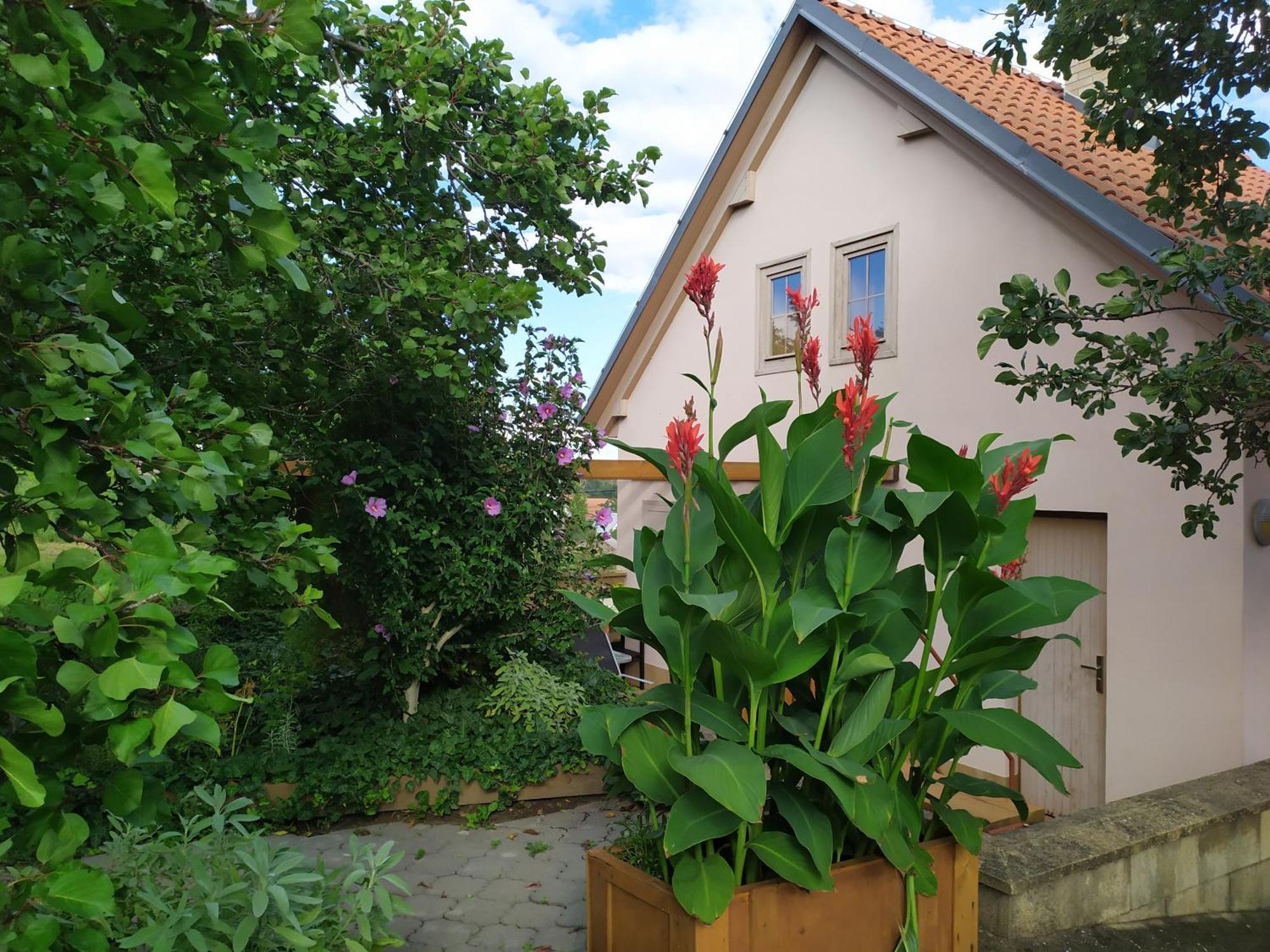 Ubytování u Křížů Bulhary Esterno foto
