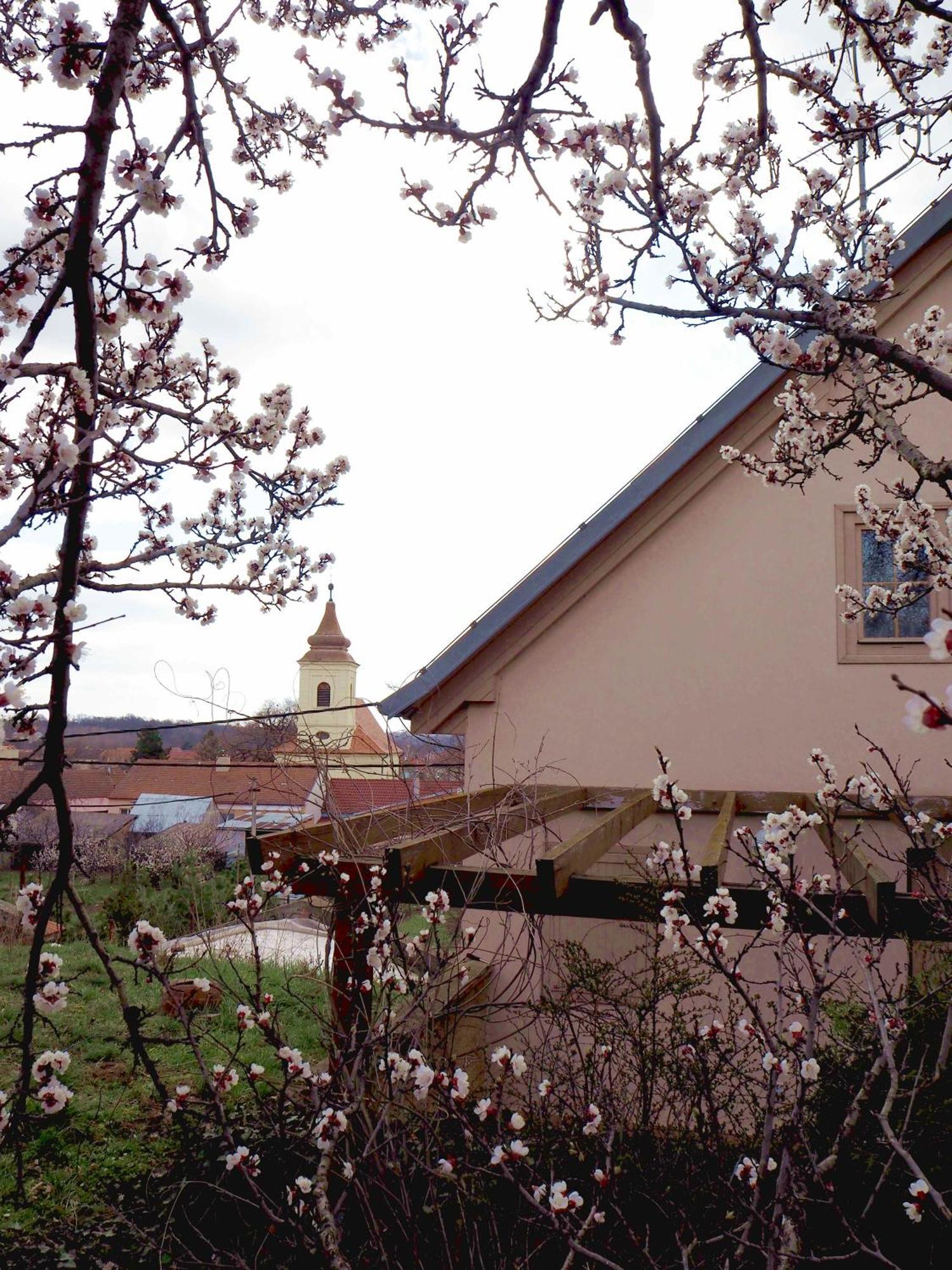 Ubytování u Křížů Bulhary Esterno foto