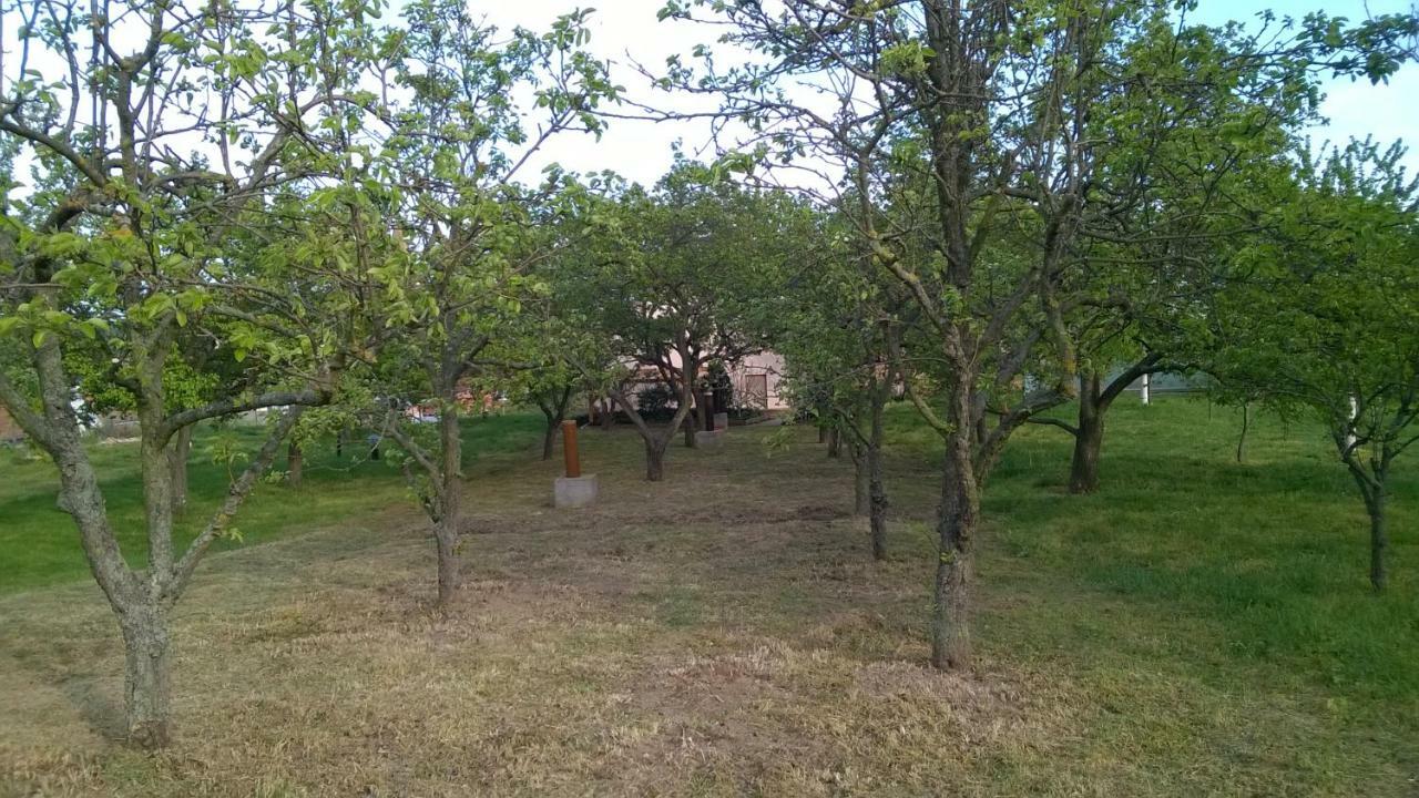 Ubytování u Křížů Bulhary Esterno foto